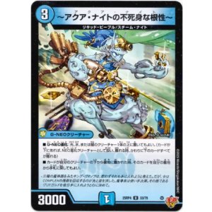 画像: 〜アクア・ナイトの不死身な根性〜