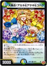 画像: 大集合！アカネ&アサギ&コハク