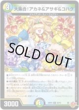 画像: ※傷有り品（返品交換対象外）大集合！アカネ&アサギ&コハク