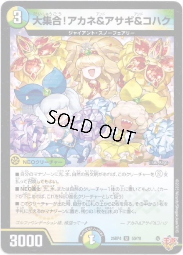 画像1: ※傷有り品（返品交換対象外）大集合！アカネ&アサギ&コハク