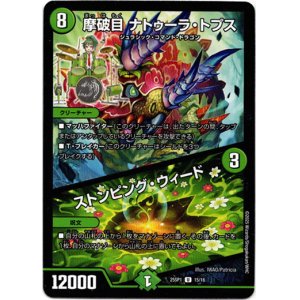 画像: 摩破目 ナトゥーラ・トプス / ストンピング・ウィード