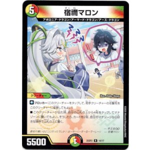 画像: 宿禰マロン