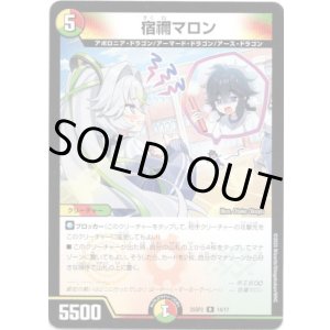 画像: 宿禰マロン