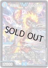 画像: 飛翔龍 5000VT