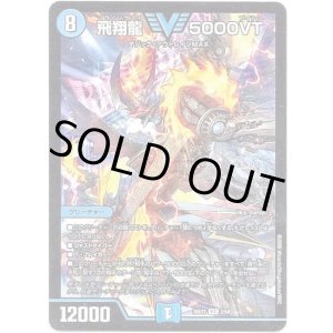 画像: 飛翔龍 5000VT