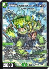 画像: 十四番龍 アクロスラピュタズ Par青天井