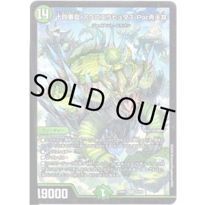 画像: 十四番龍 アクロスラピュタズ Par青天井