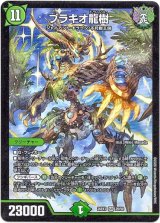 画像: ブラキオ龍樹