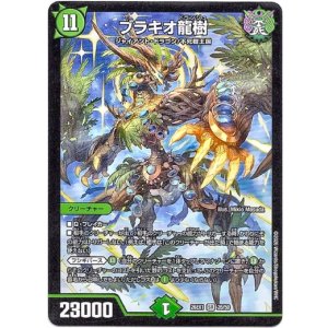 画像: ブラキオ龍樹