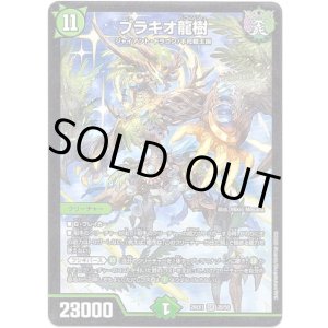 画像: ブラキオ龍樹