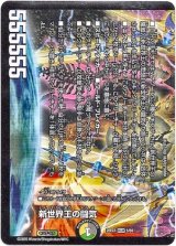 画像: 新世界王の闘気（Volzeos-Balamord）