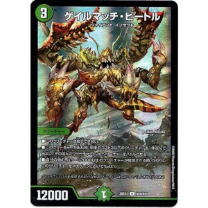 画像: ゲイルマッチ・ビートル