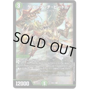 画像: ゲイルマッチ・ビートル