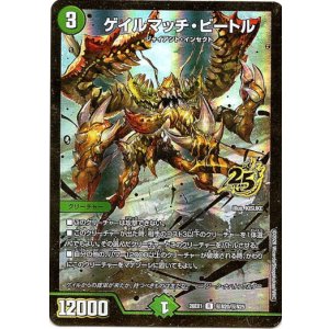 画像: ゲイルマッチ・ビートル