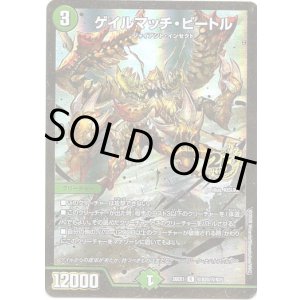 画像: ゲイルマッチ・ビートル