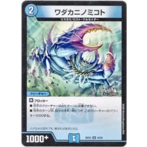画像: ワダカニノミコト