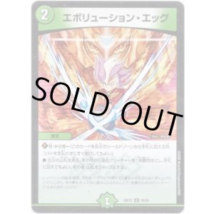 画像: エボリューション・エッグ