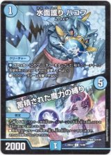 画像: 水面護り ハコフ / 蓄積された魔力の縛り