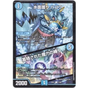 画像: 水面護り ハコフ / 蓄積された魔力の縛り