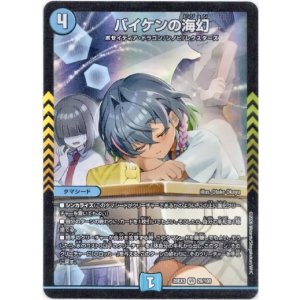 画像: バイケンの海幻
