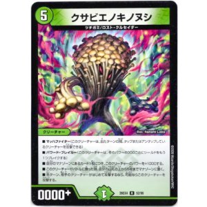 画像: クサビエノキノヌシ