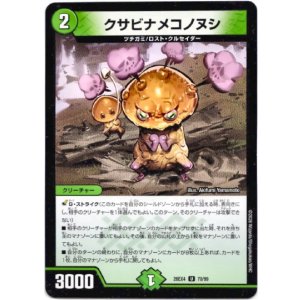 画像: クサビナメコノヌシ