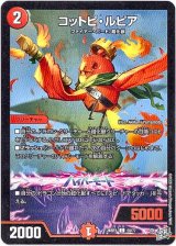 画像: コットピ・ルピア