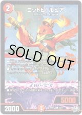 画像: コットピ・ルピア