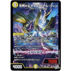 画像: 世界のY チャクラ・デル・フィン