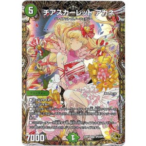 画像: チアスカーレット アカネ