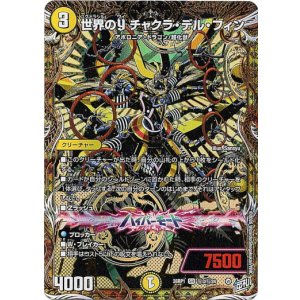 画像: 世界のY チャクラ・デル・フィン