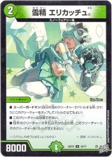 画像: 雪精 エリカッチュ。