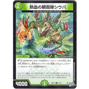 画像: 熱血の親衛隊シウバ