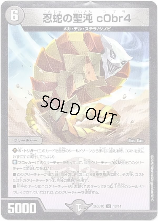 画像1: ※傷有り品（返品交換対象外）忍蛇の聖沌 c0br4