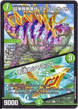 画像: 闘争類拳嘩目 ステゴロ・カイザー / お清めシャラップ