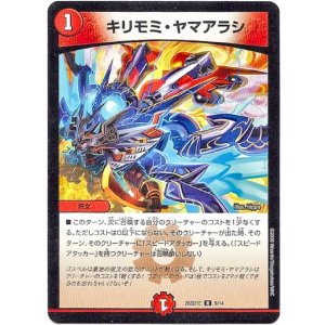 画像: キリモミ・ヤマアラシ