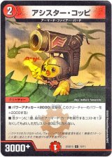 画像: アシスター・コッピ