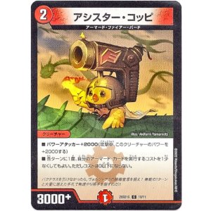 画像: アシスター・コッピ