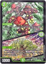 画像: シビレアシダケ / インビンシブル・パワー