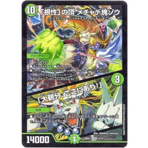 画像: 「根性」の頂 メチャデ塊ゾウ / 「大親分、ここにあり!」