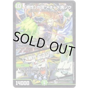画像: 「根性」の頂 メチャデ塊ゾウ / 「大親分、ここにあり！」