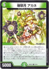 画像: 爆翠月 アカネ