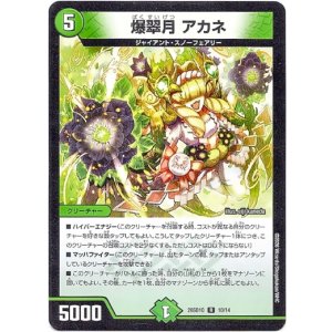 画像: 爆翠月 アカネ