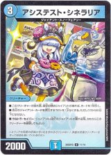 画像: アシステスト・シネラリア