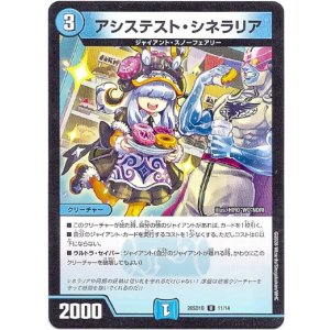 画像: アシステスト・シネラリア