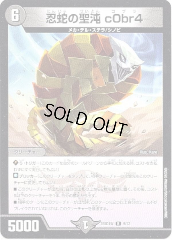 画像1: ※傷有り品（返品交換対象外）忍蛇の聖沌 c0br4