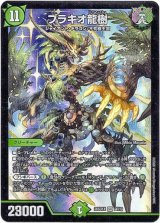 画像: ブラキオ龍樹