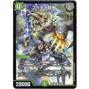 画像: ブラキオ龍樹