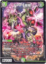 画像: ドマンモ龍樹