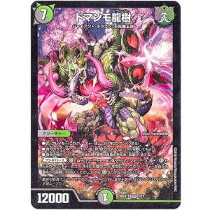 画像: ドマンモ龍樹